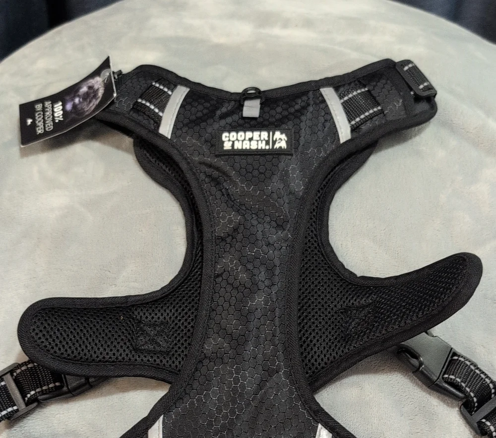 Black Padded Mesh Dog Harness - Adjustable Comfort